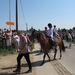 Hakendover processie 2011 194