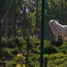 20110425-IMG_9272