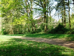 BOSSEN
