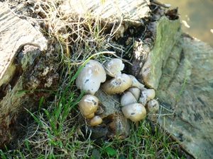 13-oktober 2011 078