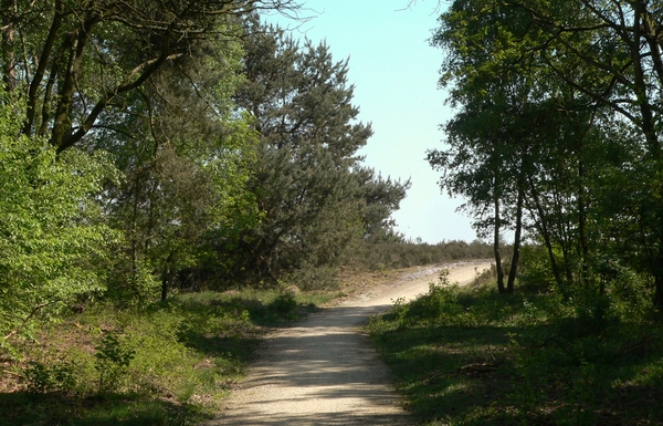 P1090468