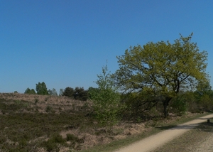 P1090472