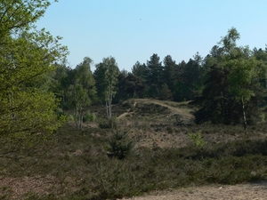P1090476
