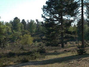 P1090479