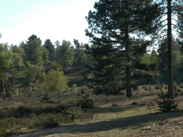 P1090479