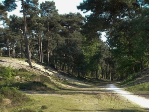 P1090490