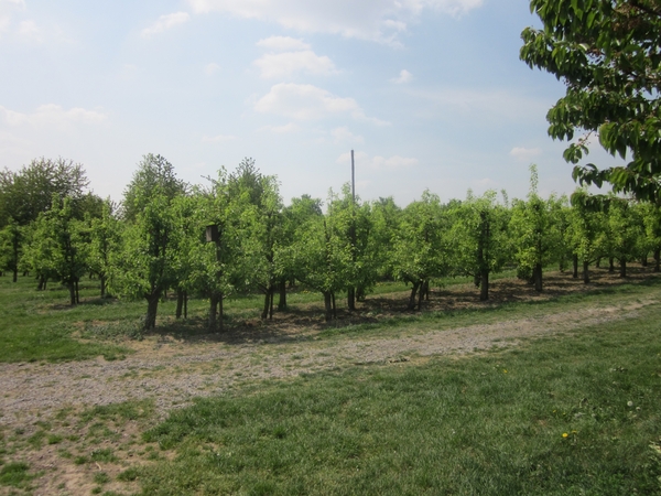 f3aa8ee3d30db03af7e3ceb0c3a6a8f5MTEwNCAxNjguanBn