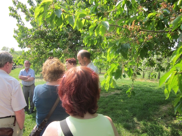 f3aa8ee3d30db03af7e3ceb0c3a6a8f5MTEwNCAxNjMuanBn2