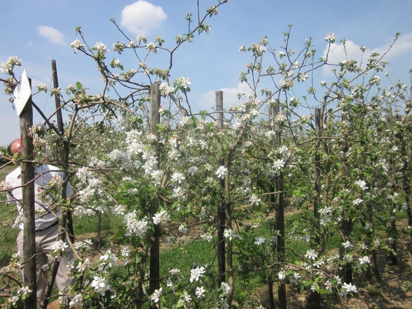 f3aa8ee3d30db03af7e3ceb0c3a6a8f5MTEwNCAxNzEuanBn2