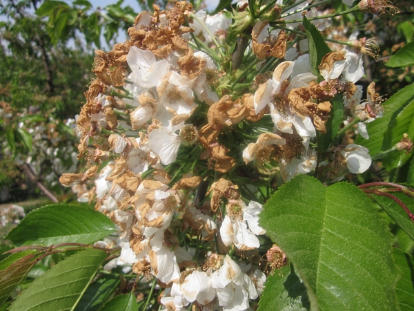 f3aa8ee3d30db03af7e3ceb0c3a6a8f5MTEwNCAxNzguanBn2