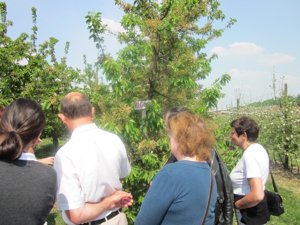 f3aa8ee3d30db03af7e3ceb0c3a6a8f5MTEwNCAxNzUuanBn2