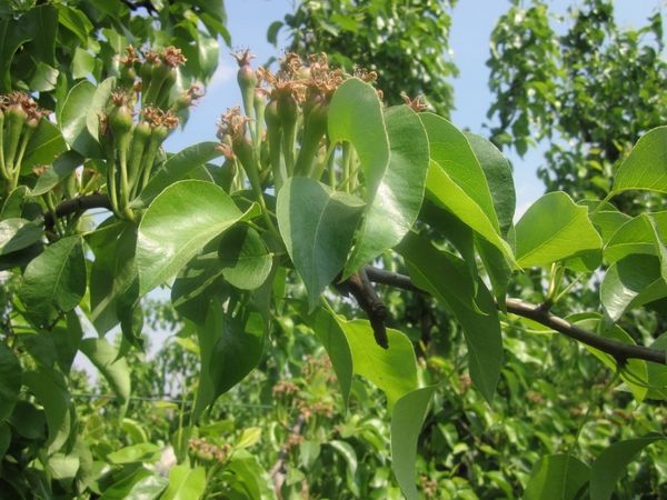 f3aa8ee3d30db03af7e3ceb0c3a6a8f5MTEwNCAxODQuanBn2