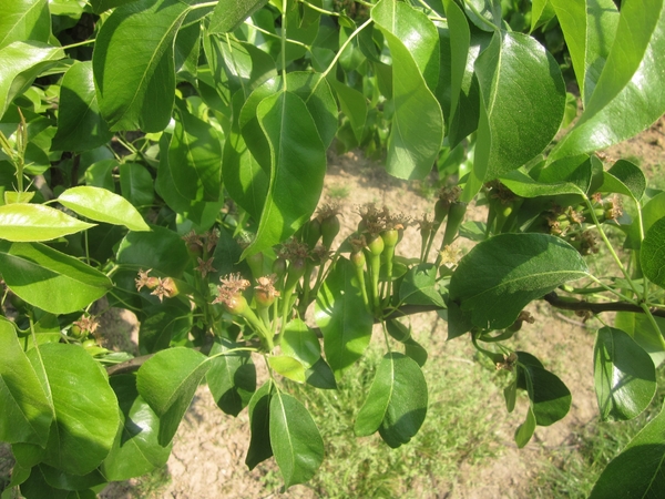 f3aa8ee3d30db03af7e3ceb0c3a6a8f5MTEwNCAxODUuanBn2