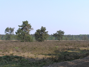 de linge en drunense fiets roete. 174