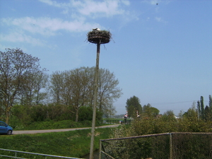 BILD2824