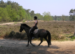 de linge en drunense fiets roete. 173