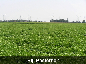 P7250006