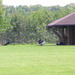 P5270013