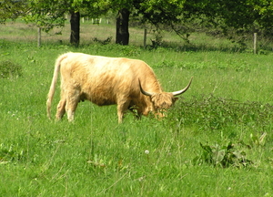 P5270023