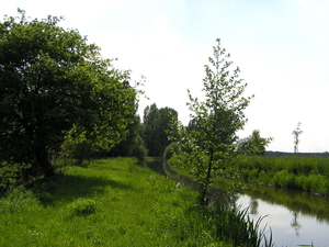 P5270044