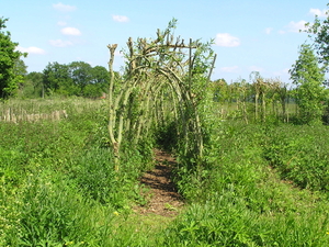 P6040031