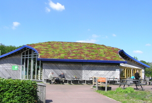 P6040020