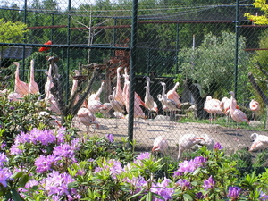 P6060002