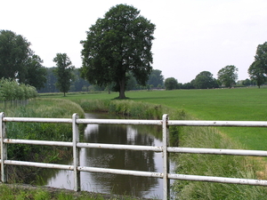 P6090046