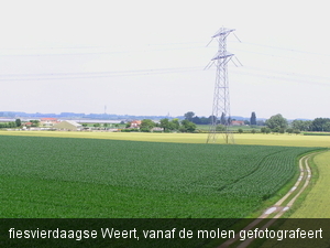 P7050018