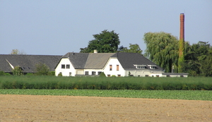 P9050017
