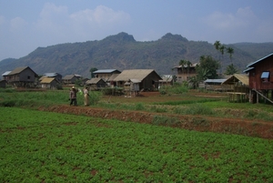 CIMG2284