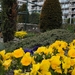 blankenbege 27-04-2011 025