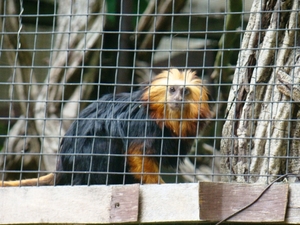 ZOO 27-7-2010 018