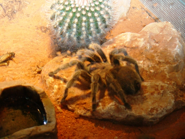 ZOO 27-7-2010 023