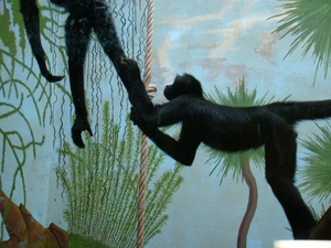 ZOO 27-7-2010 027