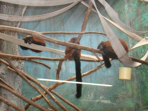 ZOO 27-7-2010 029