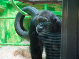 ZOO 27-7-2010 042