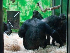 ZOO 27-7-2010 044