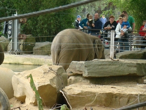 ZOO 27-7-2010 051