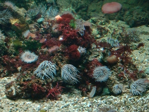 ZOO 27-7-2010 117
