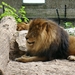 ZOO 27-7-2010 175