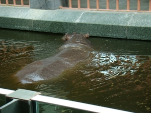 ZOO 27-7-2010 183