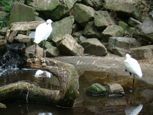 ZOO 27-7-2010 186