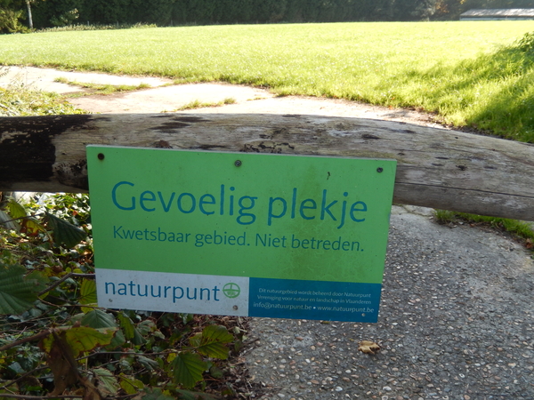 2017-10-15 Herfstwandeling (1)