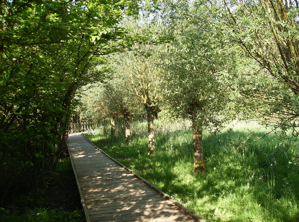 Bornem Hingene April 2011 014