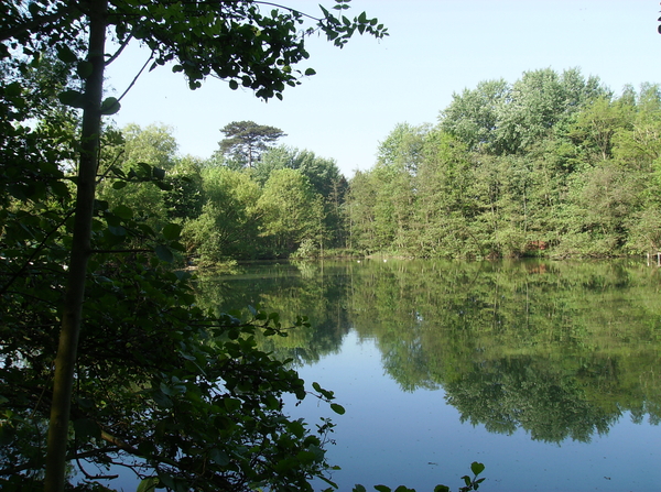 Bornem Hingene April 2011 016