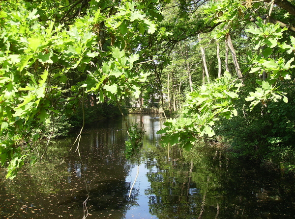 Bornem Hingene April 2011 023