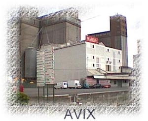 AVIX