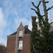 POLENPLEIN  22 - 2 -2012 027