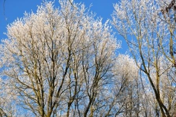 229633-63552140e94f794854ab82f6115f98ab